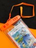 Imagem 11